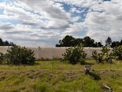 Bloemfontein, Free State, South Africa