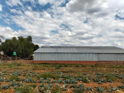 Bloemfontein, Free State, South Africa