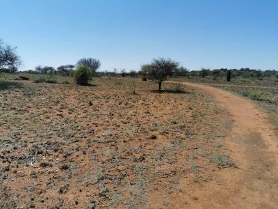 Polokwane, Limpopo, South Africa