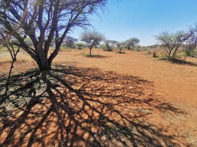 Polokwane, Limpopo, South Africa