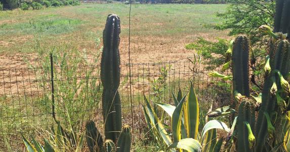 Vanderbijlpark, Gauteng, South Africa