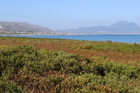 Bettys Bay, Western Cape, South Africa