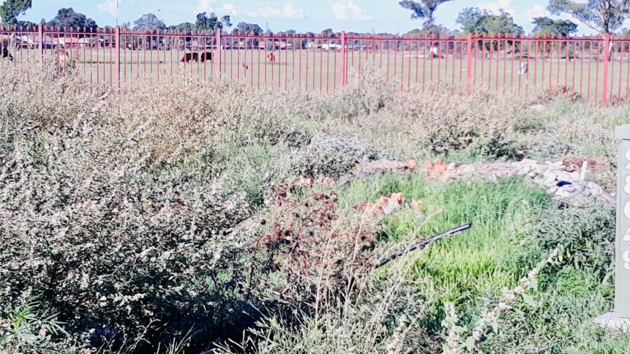 Bloemfontein, Free State, דרום אפריקה