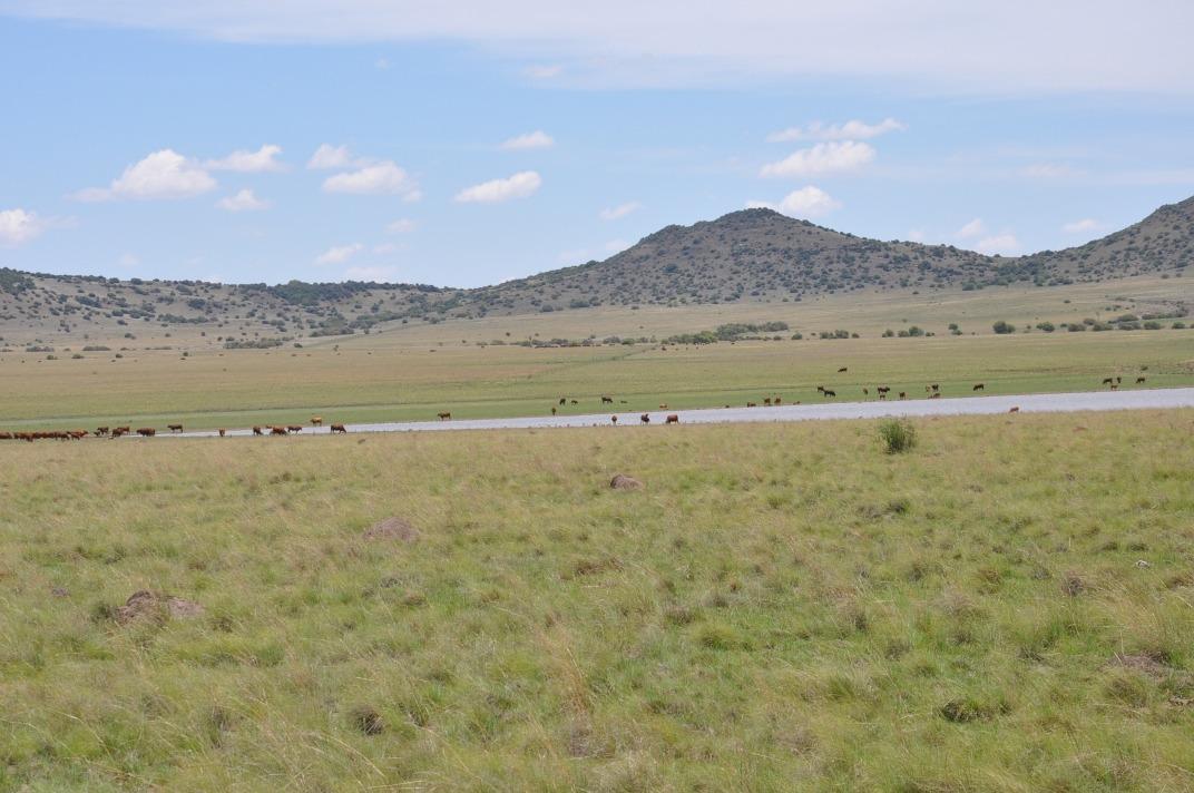 Dewetsdorp, Free State, África Do Sul