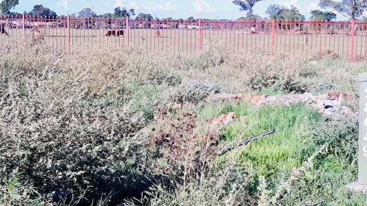 Bloemfontein, Free State, 남아프리카