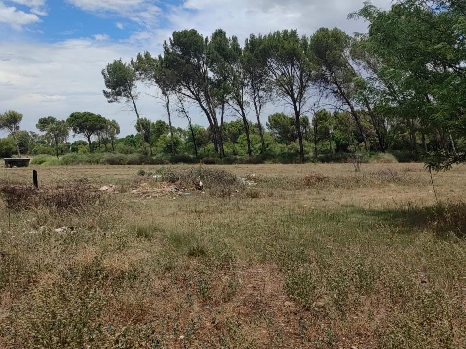 Bloemfontein, Free State, South Africa