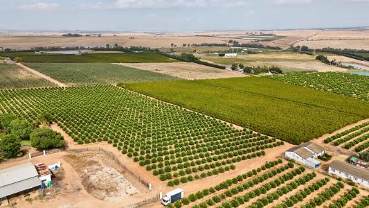 Paarl, Western Cape, South Africa