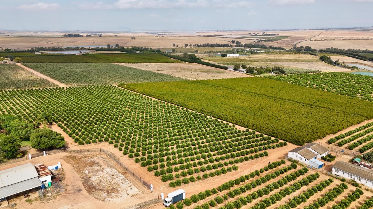 Paarl, Western Cape, Sudafrica