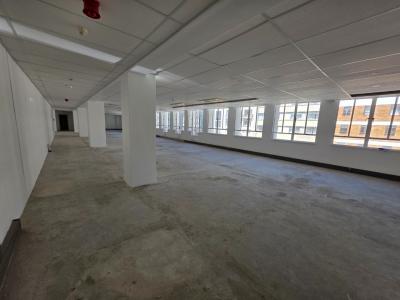 Cape Town, Western Cape, South Africa