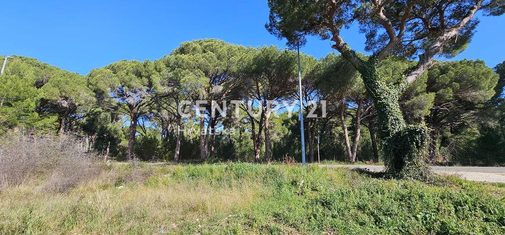 Sv. Leopolda Mandića, Biograd Na Moru, Zadarska Županija 23210, Croacia