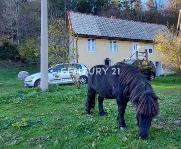 Lič, Fužine, Primorsko-goranska Županija 51322, Croatia