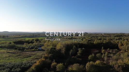 Poreč, Poreč, Istarska Županija, Croatia