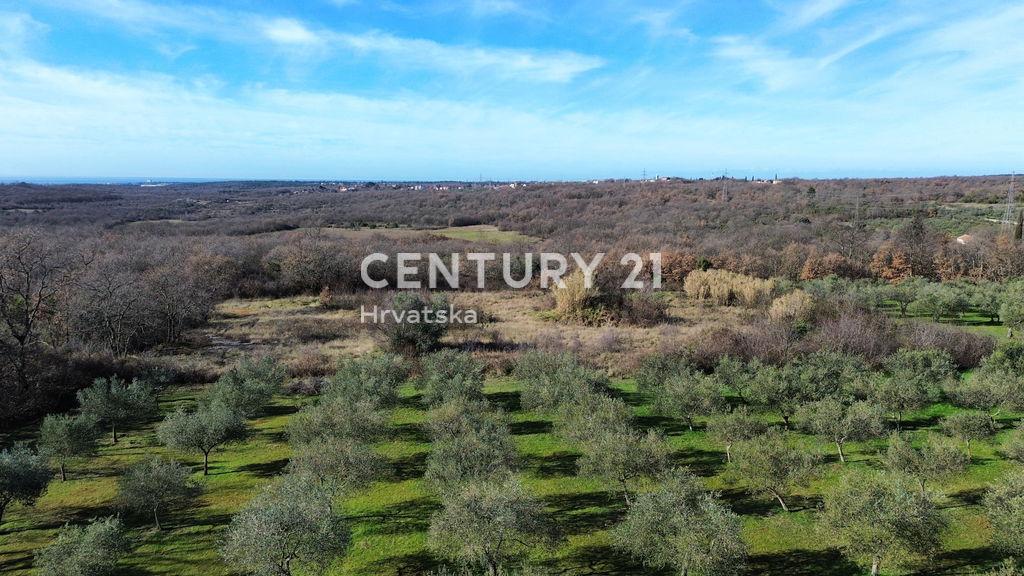 Umag, Sveta Marija na Krasu, Umag, Istarska Županija 52470, Croatia