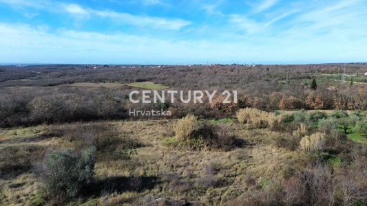 Umag, Sveta Marija na Krasu, Umag, Istarska Županija 52470, Croatia