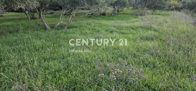 Mrljane, Otočka Cesta, Pašman, Zadarska Županija 23264, 크로아티아