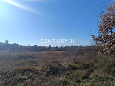 Poreč, Poreč, Istarska Županija, Croatia