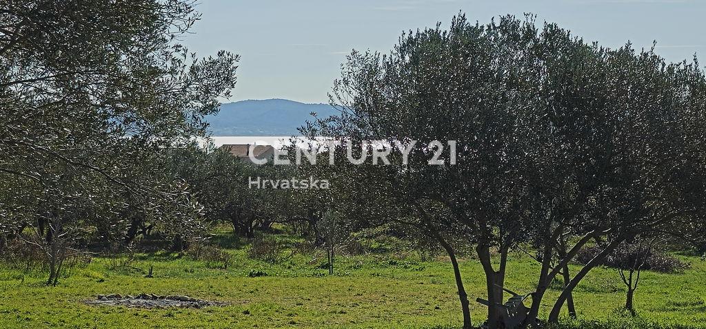 Sveti Filip i Jakov, Turanj, Sveti Filip I Jakov, Zadarska Županija 23207, Croatia