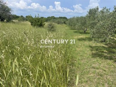 Sveti Filip i Jakov, Sveti Filip I Jakov, Zadarska Županija 23207, Croacia