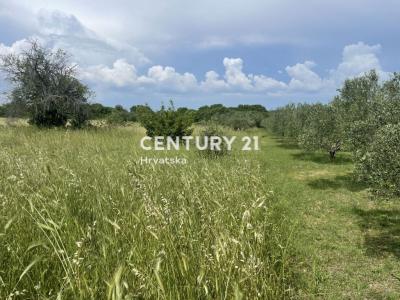 Sveti Filip i Jakov, Sveti Filip I Jakov, Zadarska Županija 23207, Croacia