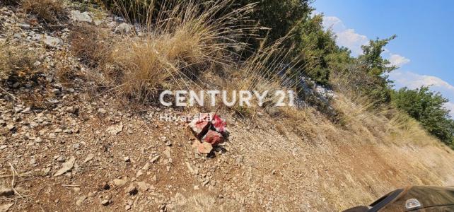 Polača, Polača, Zadarska Županija 23423, Croazia