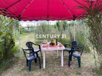 Umag, Umag, Istarska Županija 52470, Croatia