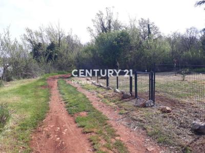 Umag, Umag, Istarska Županija 52470, Croatia