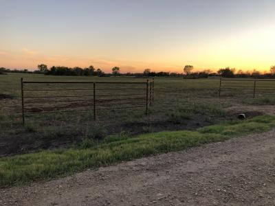 Tbd Collegiate Dr., 파리, 텍사스 75460, 미국