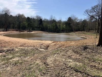 Tbd Woodchuck Rd, Pittsburg, 得克萨斯州 75686, 美国