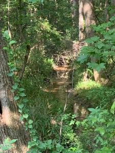 0 Long Street, Fuquay Varina, North Carolina 27526