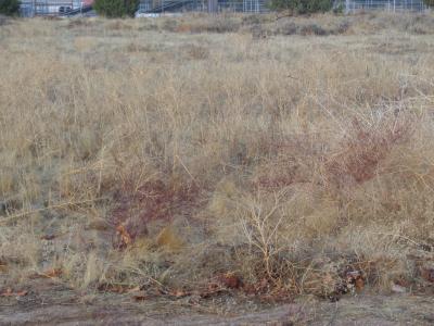 W 22nd Street Apn 3001-013-042, Palmdale, California 93551, Estados Unidos