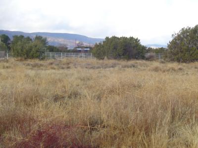 W 22nd Street Apn 3001-013-042, Palmdale, California 93551, Estados Unidos