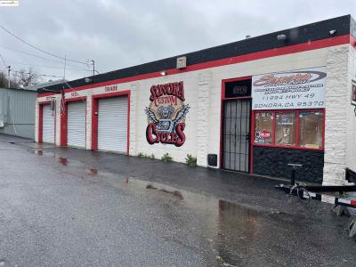 11994 Dane Ln, Sonora, California 95370, Stati Uniti