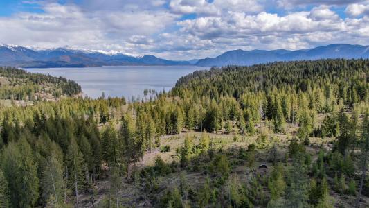 Est Lot 8 Camp Bay Estates, Sagle, Idaho 83860, USA