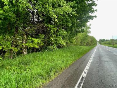 0 State Route 104a Road, Sterling, Нью-Йорк 13156, Соединенные Штаты