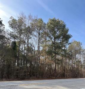 Hwy 260, Manning, SC 29102, USA