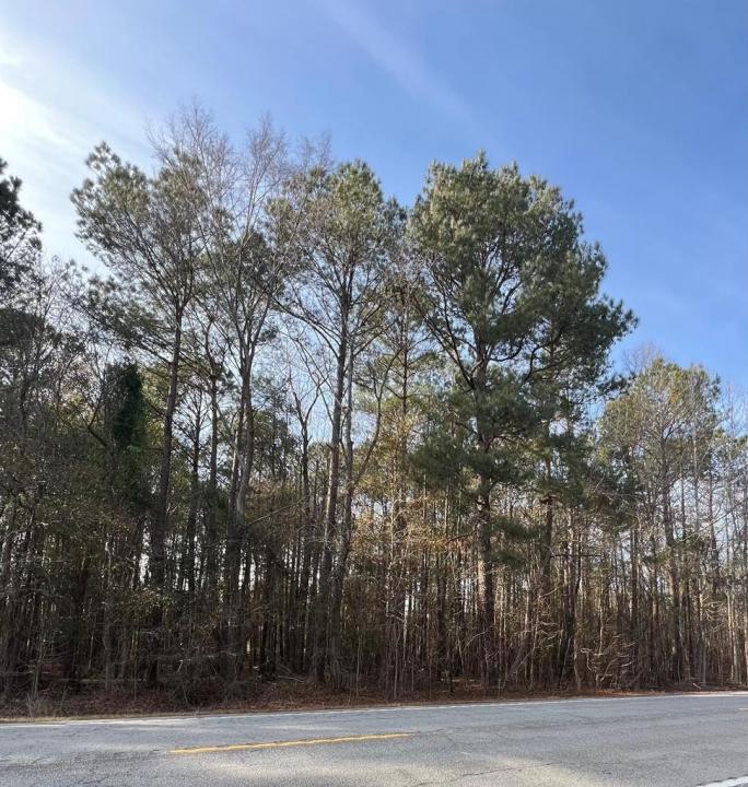 Hwy 260, Manning, Güney Karolina 29102, Amerika Birleşik Devletleri