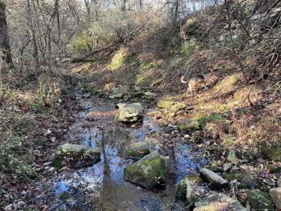 S 4760 Road, Westville, Oklahoma 74965