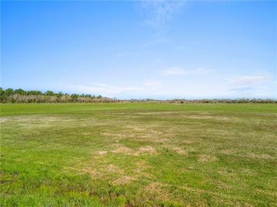 Frontage & Hardy Rd., 愛荷華州, 路易西安納州 70647, 美國