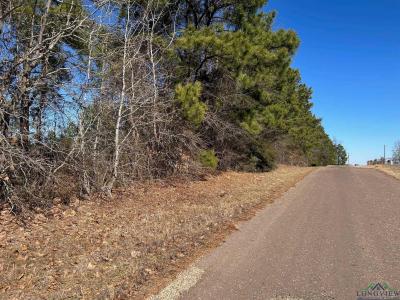 Tbd Peteet Rd, Harleton, Teksas 75651, Amerika Birleşik Devletleri