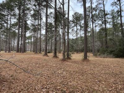 464 Dawson Creek Blvd. Lot #24, Oriental, NC 28571, USA