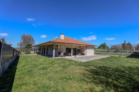 Viseu, Viseu 3515-388, Portugal