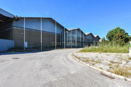 Setubal, Setubal 2910, Portugal