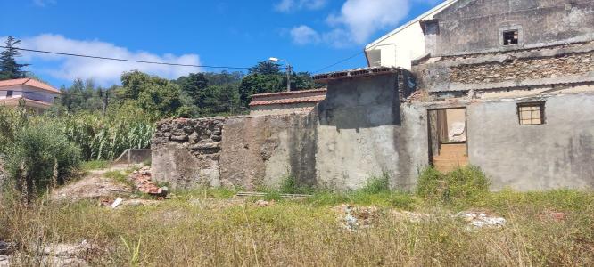 Amadora, Lisbon 2650-148, Portugal