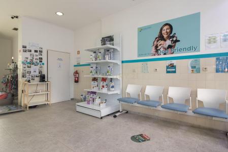 Seixal, Setubal 2845-132, Portugal