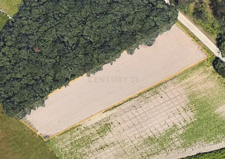 Vagos, Aveiro 3840, Portugal