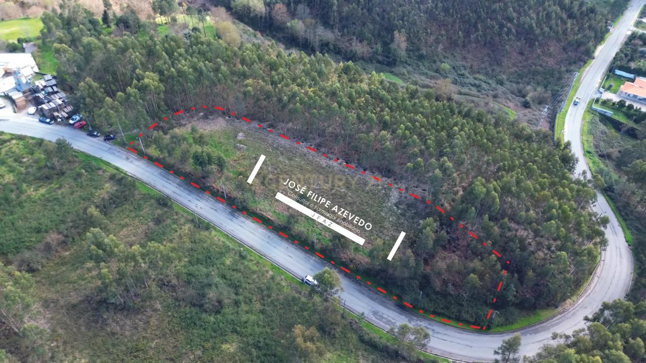 Paredes, Porto 4585-831, Portogallo