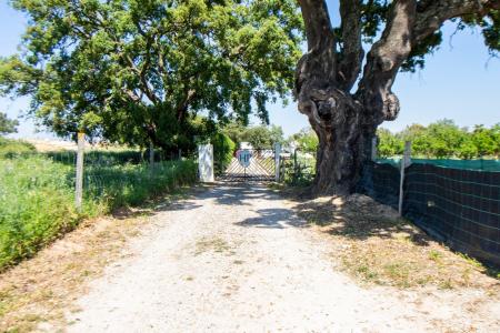 Moita, Setubal 2860-572, Portogallo