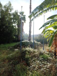 Amadora, Lisbon 2700, Portugal