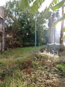 Amadora, Lisbon 2700, Portugal