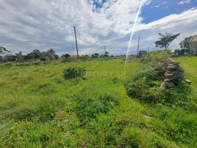 Mafra, Lisbon 2706-000, Portugal
